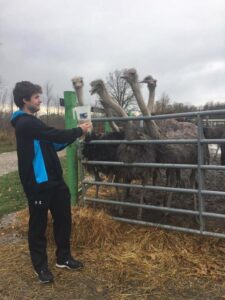 Ostrich Land Store
